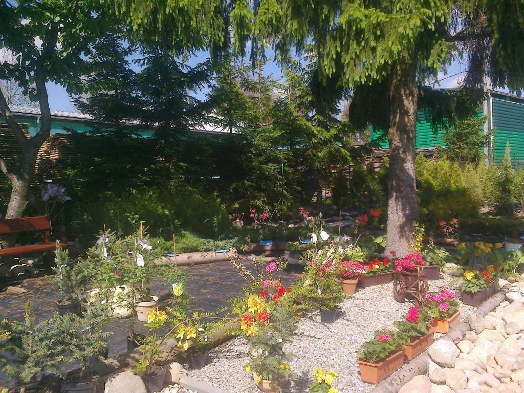 Sucany Apartman Yvet מראה חיצוני תמונה